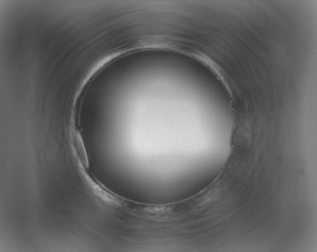 X0000054391147200508121626