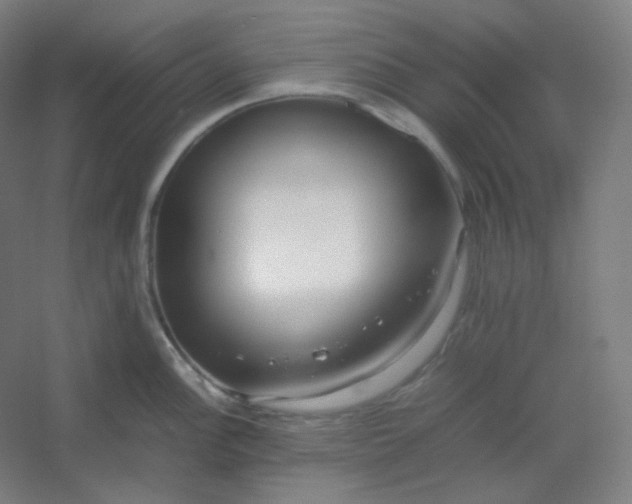 X0000054391148200508121626