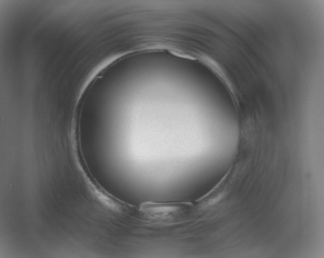 X0000054391149200508121626