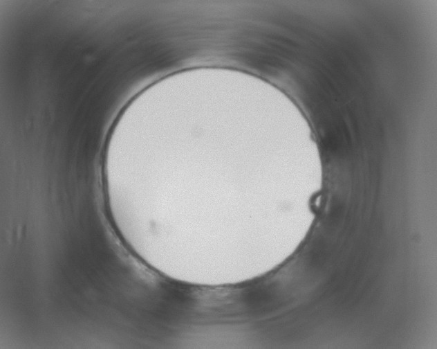 X0000054391150200508121626