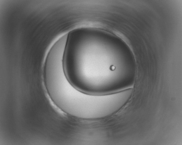 X0000054391152200508121626