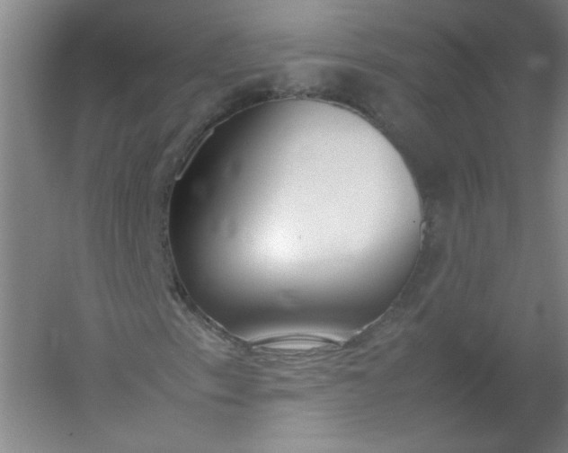 X0000054391153200508121625