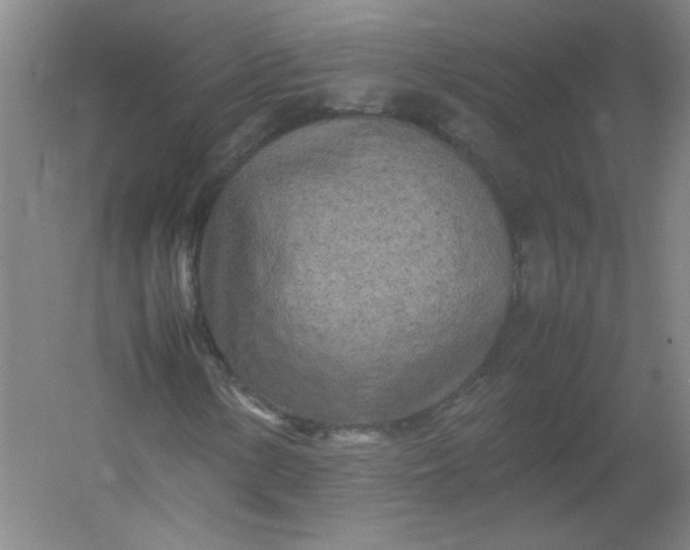 X0000054391154200508121625