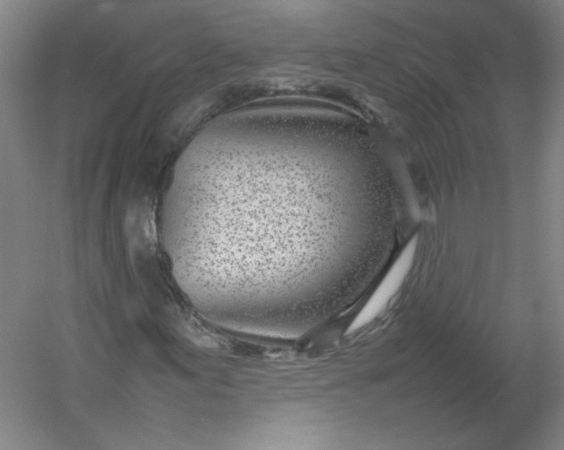 X0000054391155200508121625