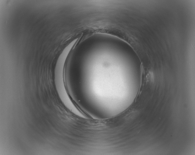 X0000054391156200508121625