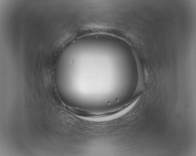 X0000054391157200508121625