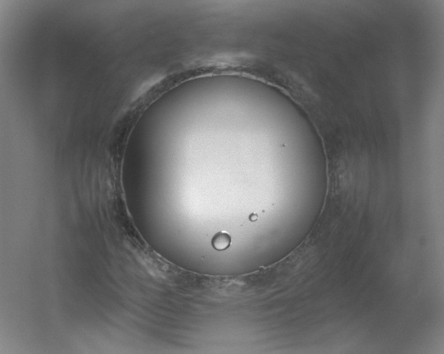 X0000054391158200508121625