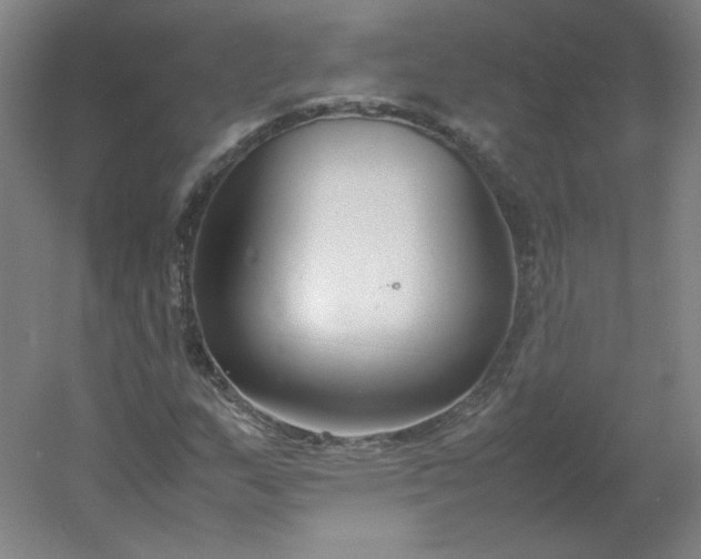 X0000054391159200508121625