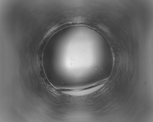 X0000054391160200508121625