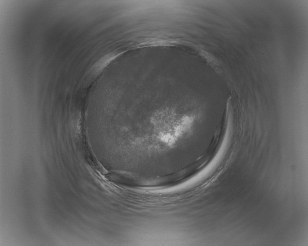 X0000054391161200508121625