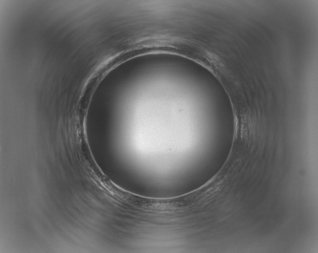 X0000054391164200508121625