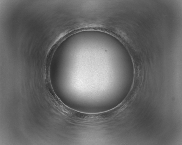 X0000054391165200508121625