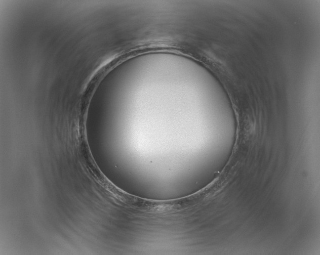 X0000054391166200508121625