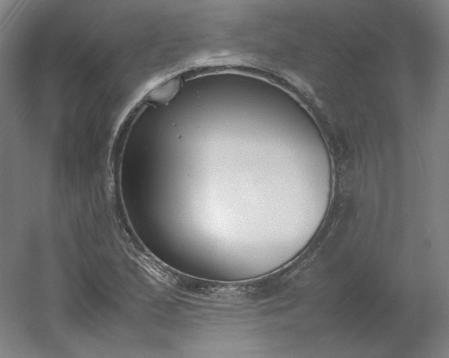 X0000054391167200508121625