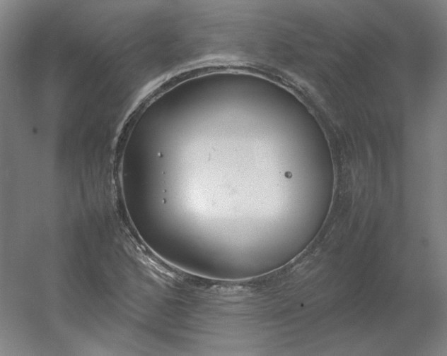 X0000054391168200508121625