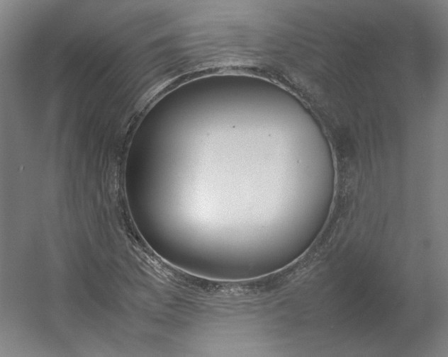 X0000054391169200508121625