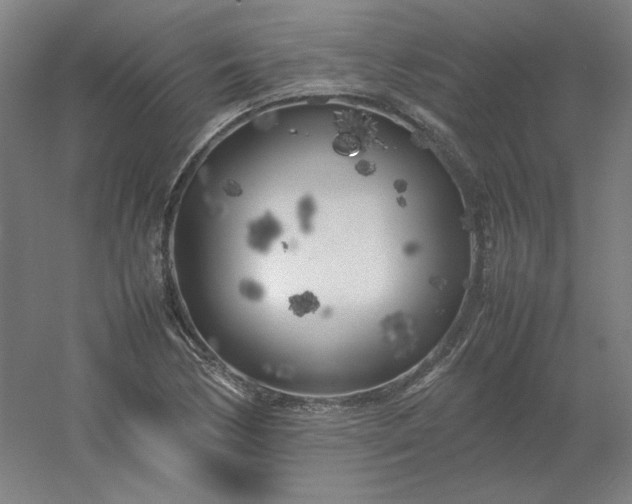 X0000054391170200508121625