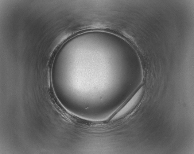 X0000054391171200508121625