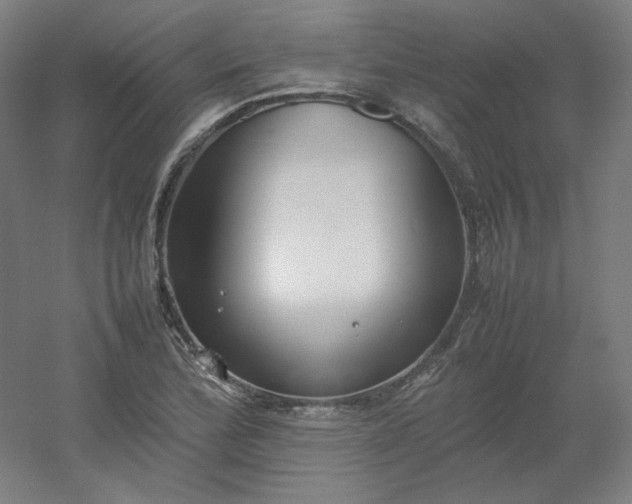 X0000054391172200508121625