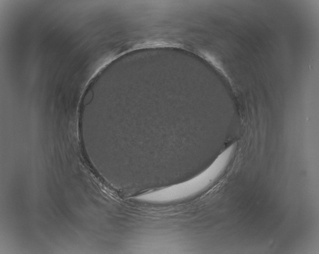 X0000054391173200508121625