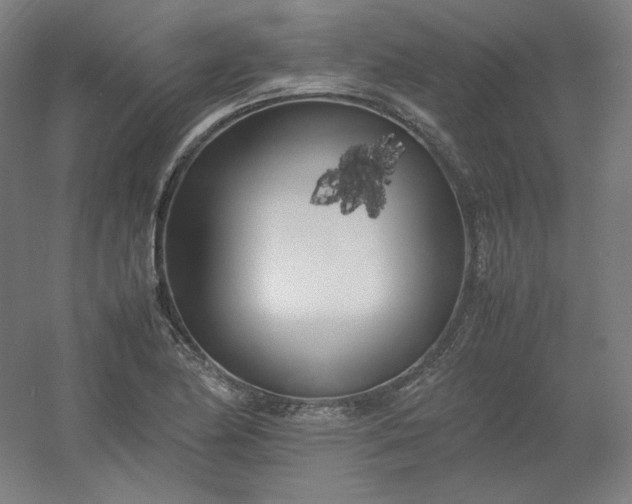 X0000054391174200508121625