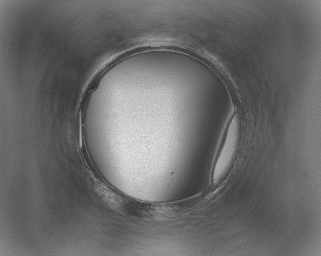 X0000054391175200508121625