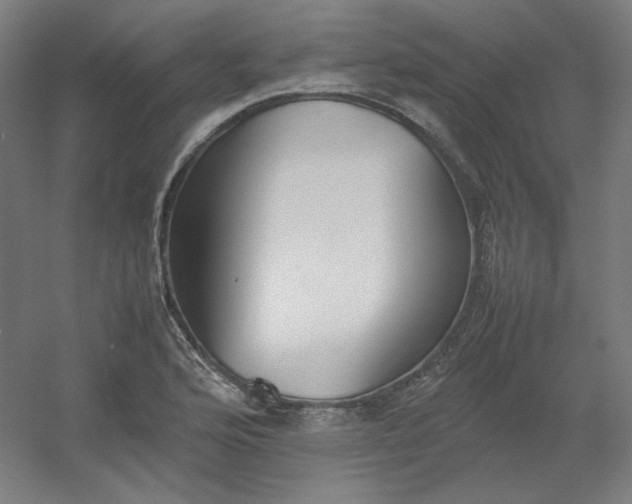 X0000054391176200508121625