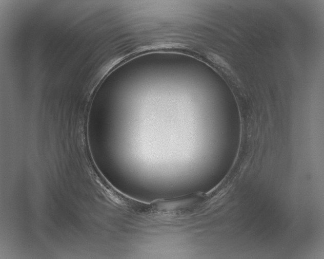 X0000054391177200508121625