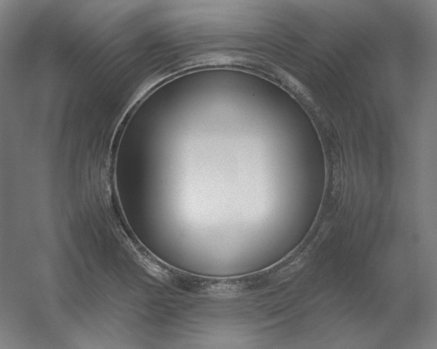 X0000054391178200508121625