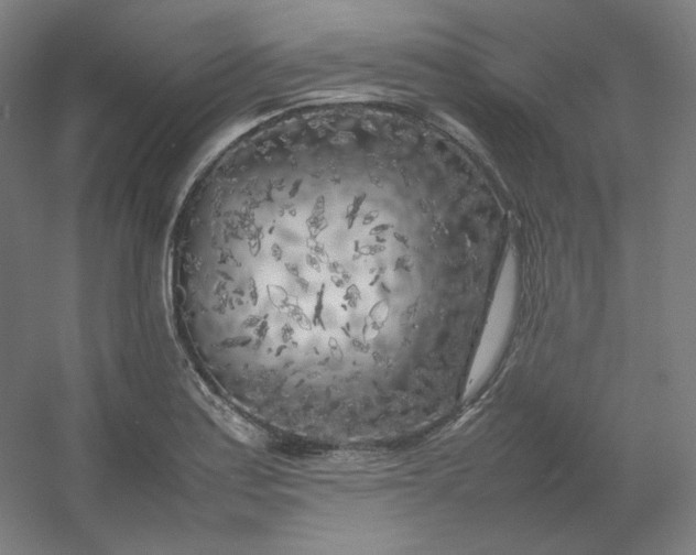 X0000054391179200508121625