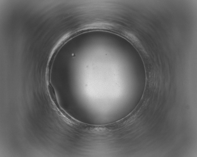 X0000054391180200508121625