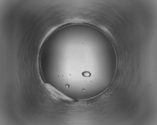 X0000054391183200508121625