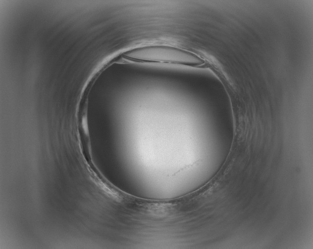 X0000054391184200508121625