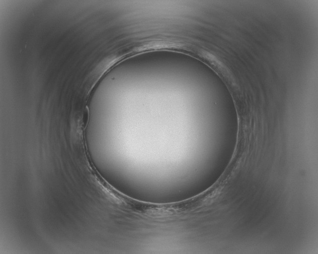 X0000054391185200508121625