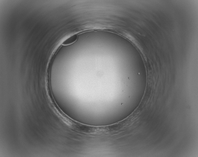 X0000054391187200508121625