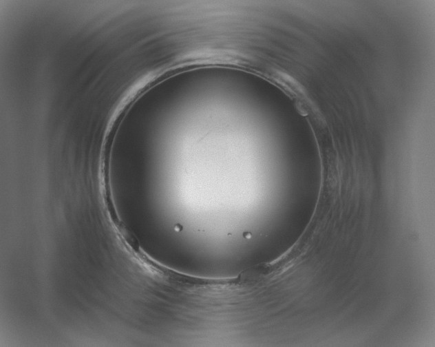 X0000054391188200508121625