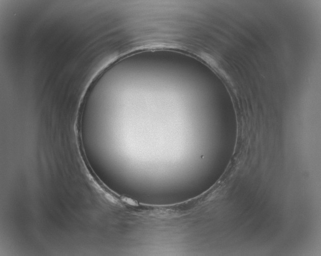 X0000054391189200508121624