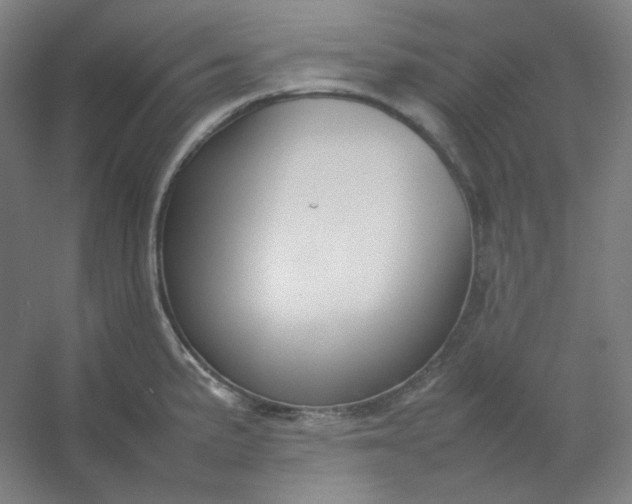 X0000054391191200508121624