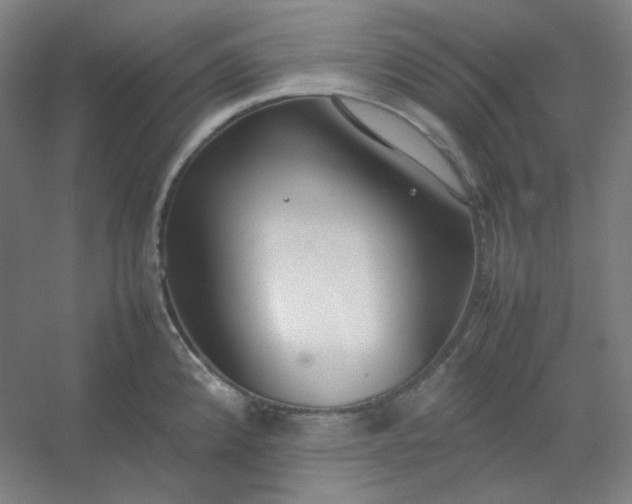 X0000054391192200508121624