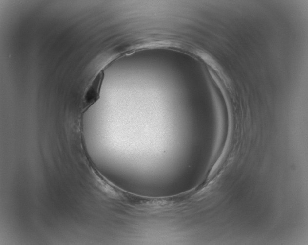 X0000054391193200508121624