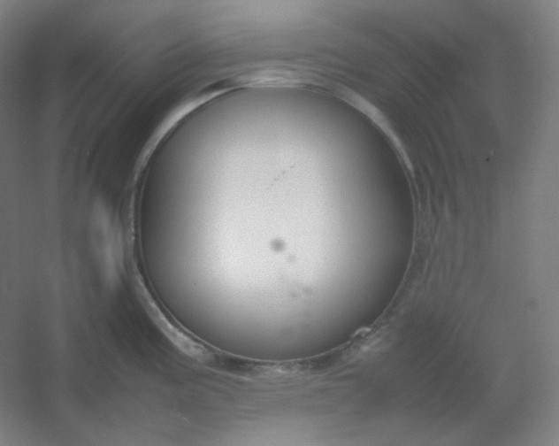 X0000054391195200508121624