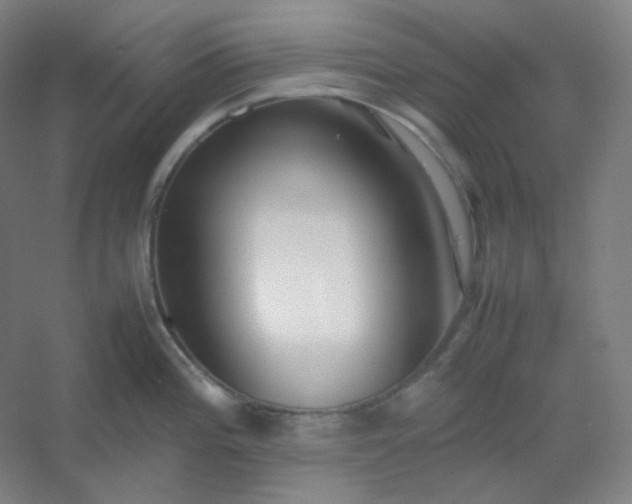 X0000054391196200508121624