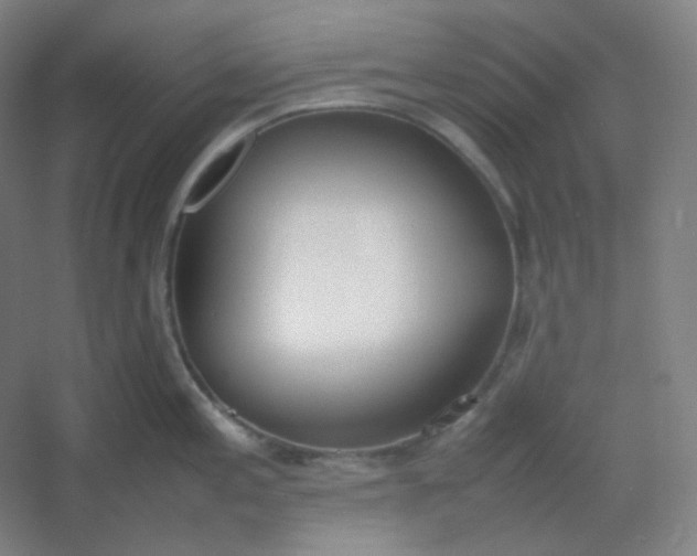 X0000054391197200508121624