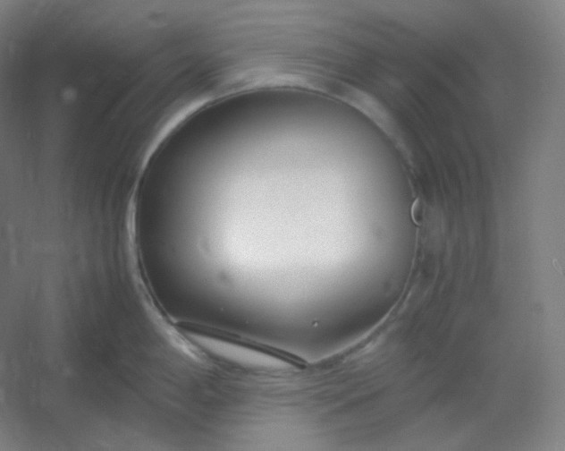 X0000054391198200508121624