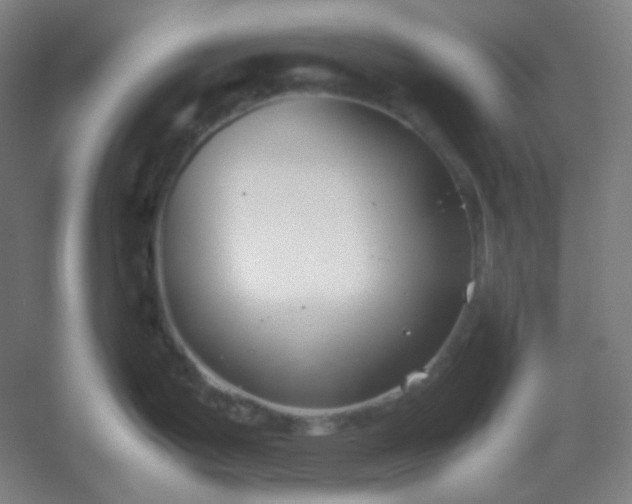 X0000054391199200508121624