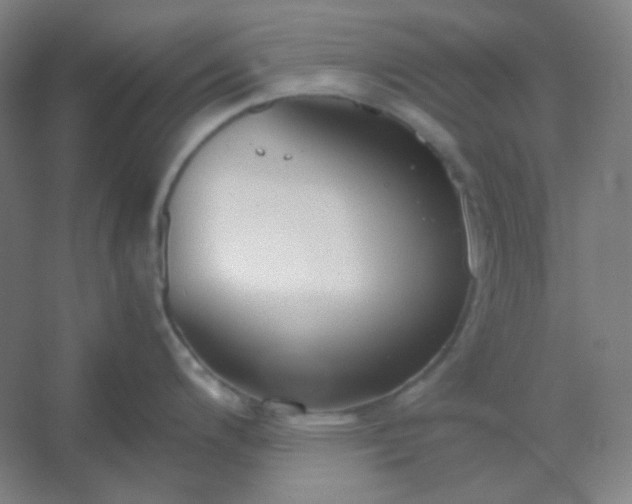 X0000054391200200508121624