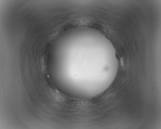 X0000054391203200508121624