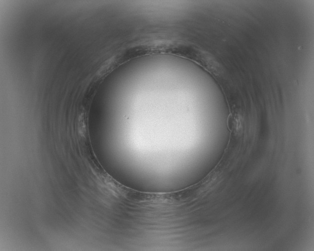 X0000054391204200508121624