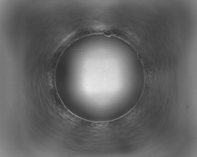 X0000054391205200508121624