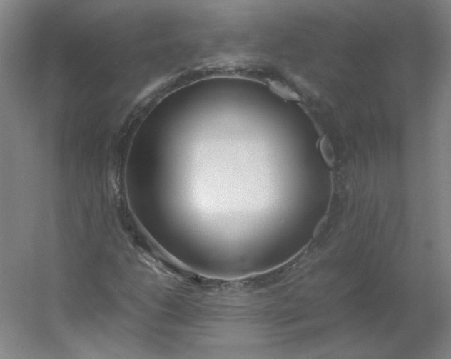 X0000054391206200508121624